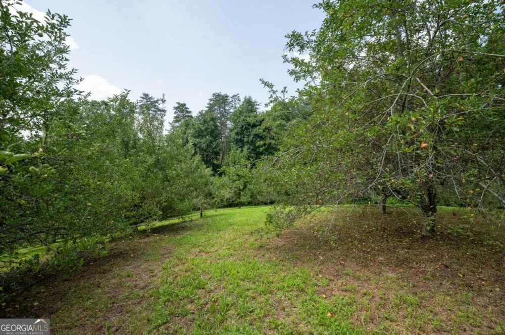 464 Poole RD Ball Ground, GA 30107