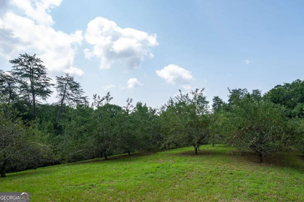 464 Poole RD Ball Ground, GA 30107