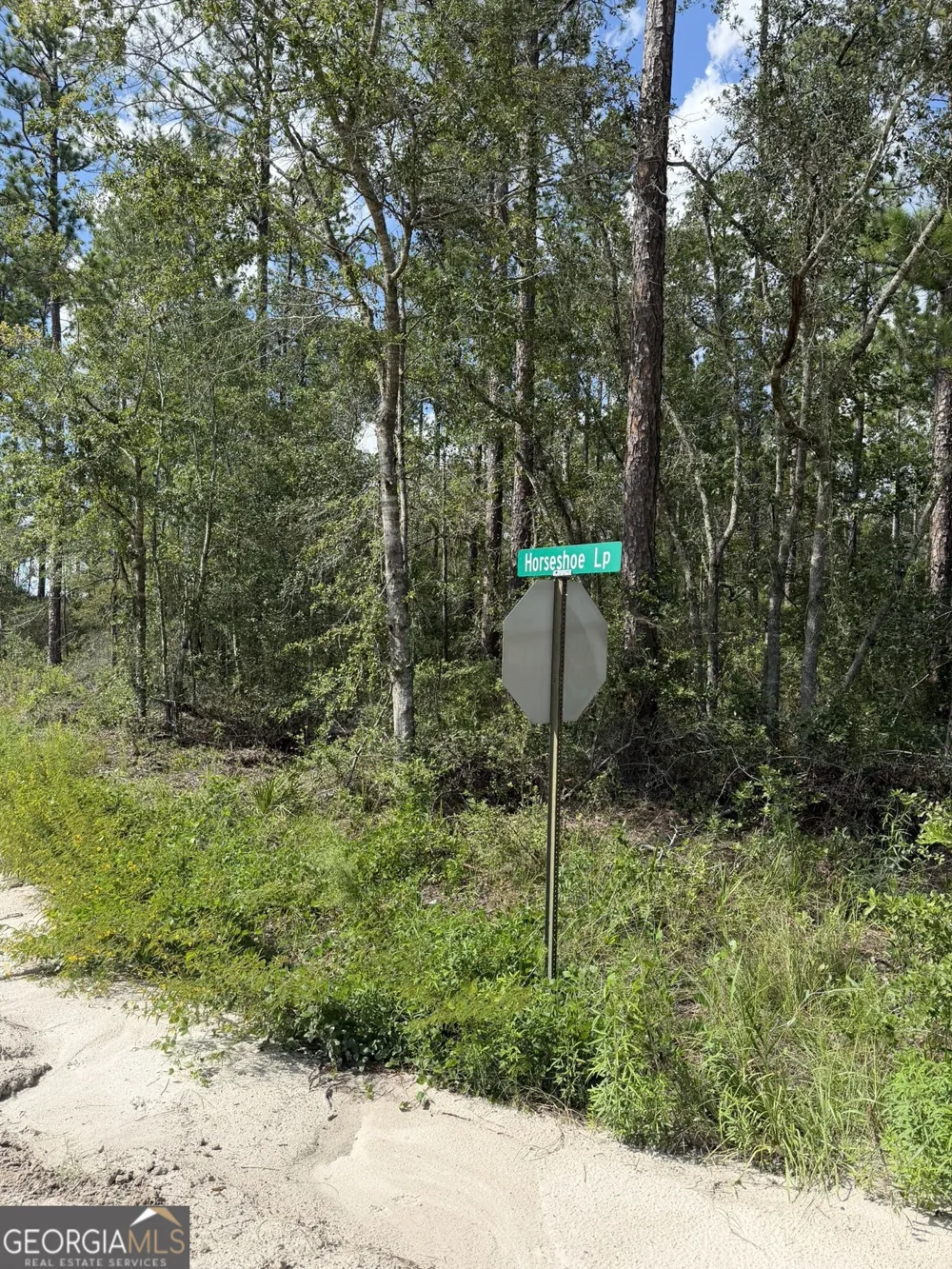 113 Horseshoe LOOP St. George, GA 31562