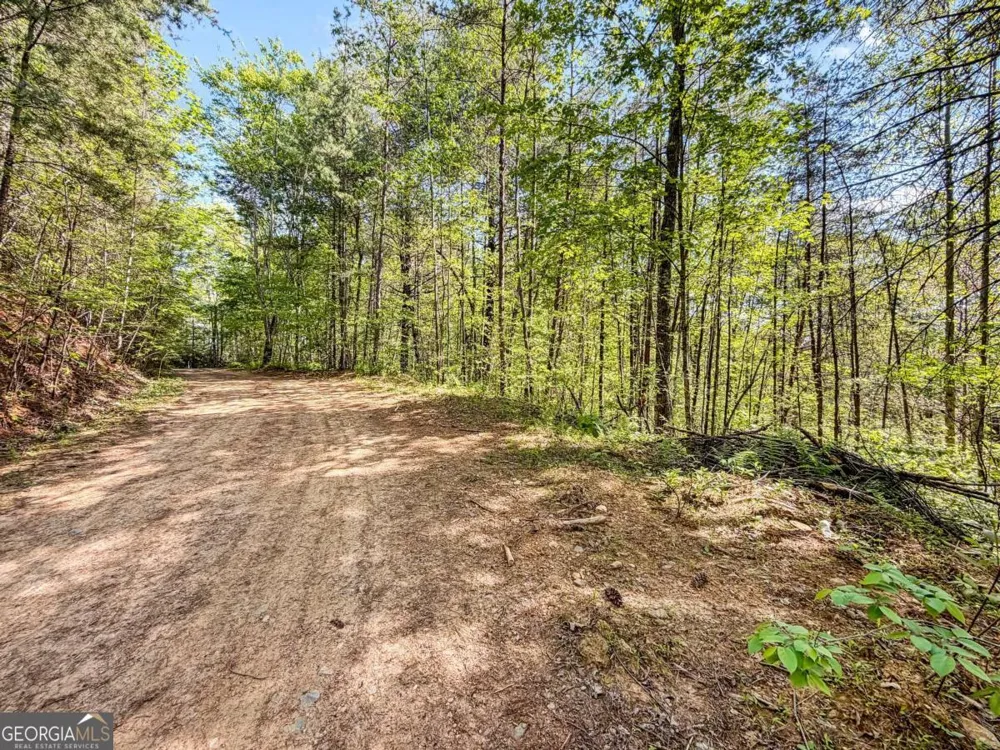 40 AC #2 Valley Lake RD Mineral Bluff, GA 30559