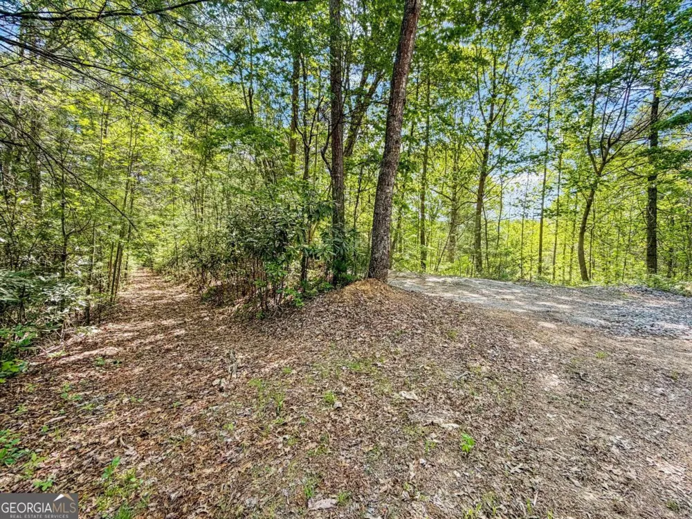 40 AC #2 Valley Lake RD Mineral Bluff, GA 30559
