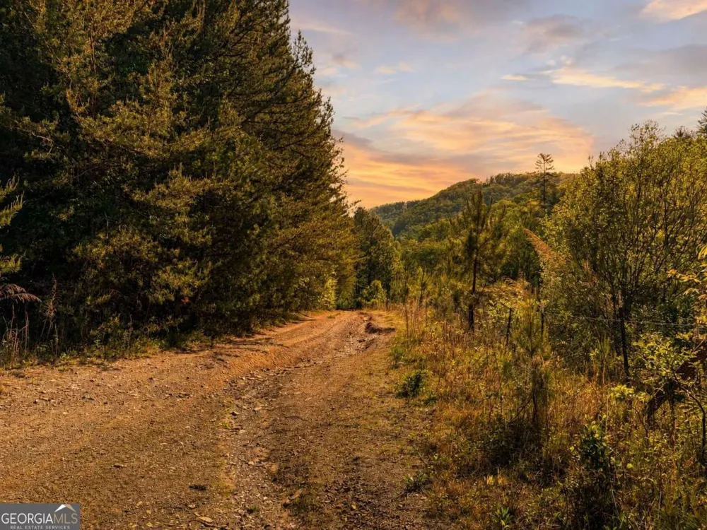 40 AC #2 Valley Lake RD Mineral Bluff, GA 30559