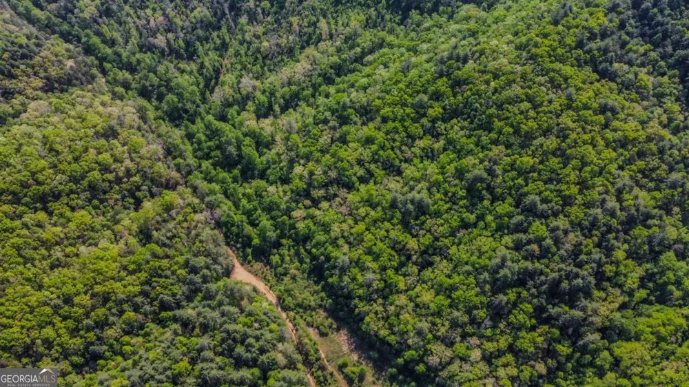 40 AC #2 Valley Lake RD Mineral Bluff, GA 30559