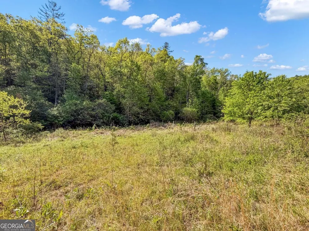 40 AC #2 Valley Lake RD Mineral Bluff, GA 30559