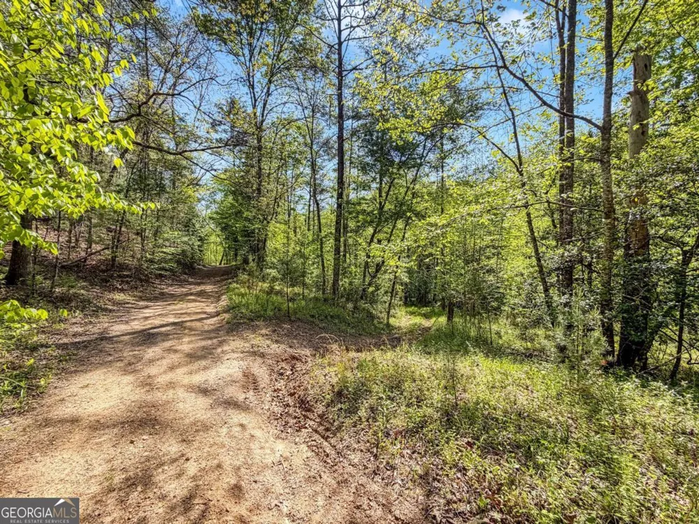 40 AC #2 Valley Lake RD Mineral Bluff, GA 30559