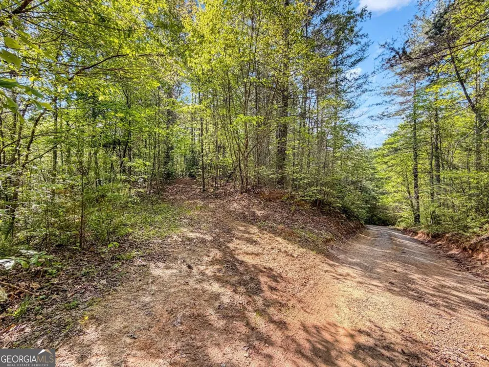 40 AC #2 Valley Lake RD Mineral Bluff, GA 30559