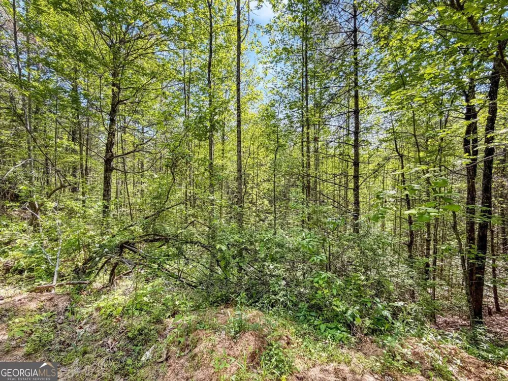 40 AC #2 Valley Lake RD Mineral Bluff, GA 30559