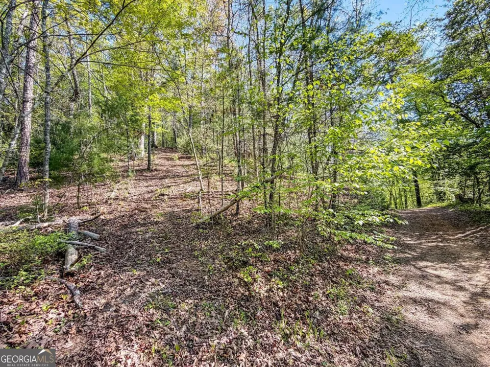 40 AC #2 Valley Lake RD Mineral Bluff, GA 30559