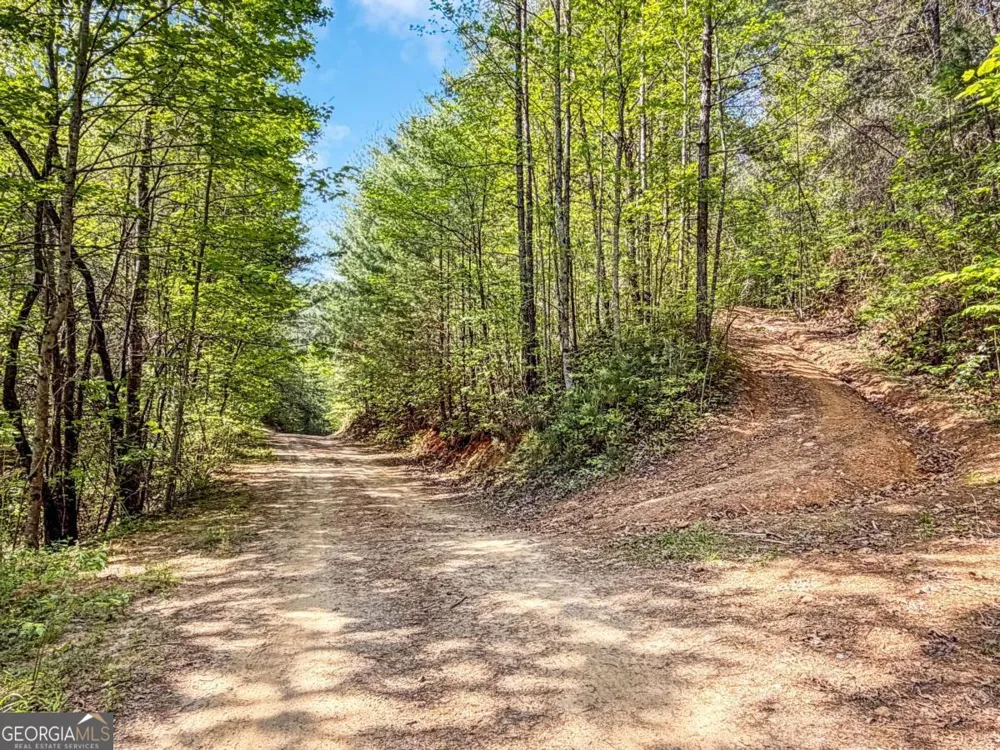 40 AC #2 Valley Lake RD Mineral Bluff, GA 30559