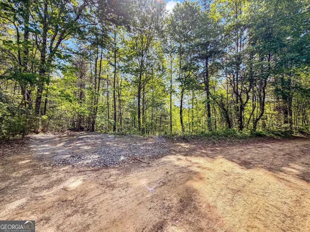 40 AC #2 Valley Lake RD Mineral Bluff, GA 30559