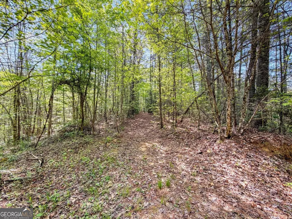 40 AC #2 Valley Lake RD Mineral Bluff, GA 30559
