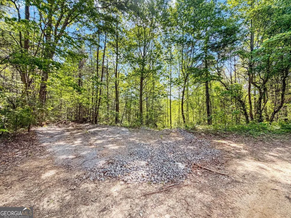 40 AC #2 Valley Lake RD Mineral Bluff, GA 30559