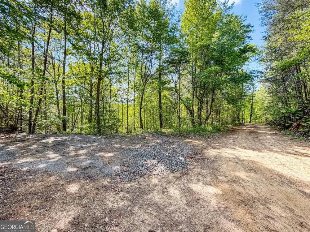 40 AC #2 Valley Lake RD Mineral Bluff, GA 30559