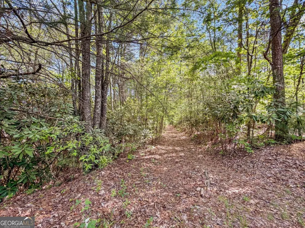 40 AC #2 Valley Lake RD Mineral Bluff, GA 30559