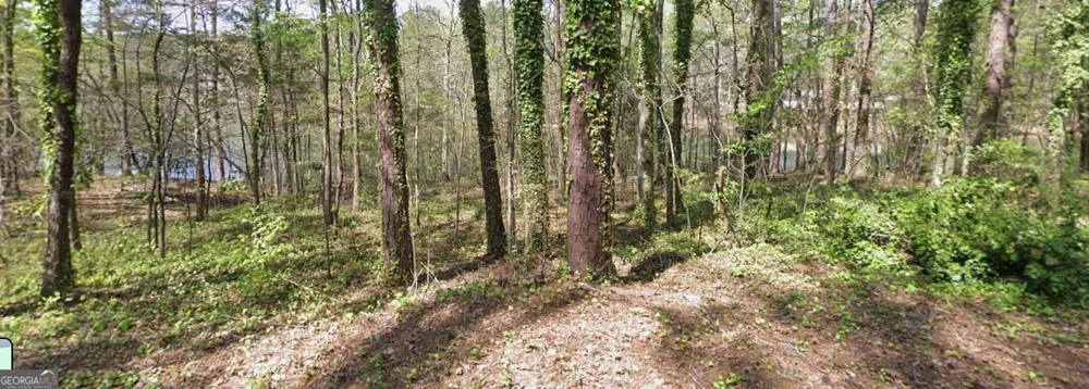 LOT56H Hawthorne DR Waverly Hall, GA 31831
