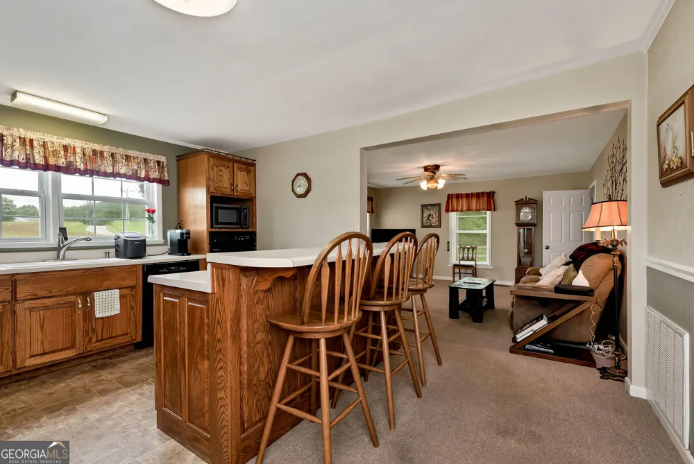 4041 Ada ST Blue Ridge, GA 30513