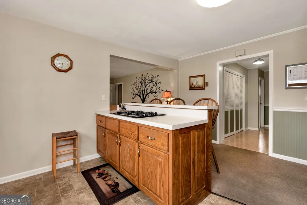 4041 Ada ST Blue Ridge, GA 30513