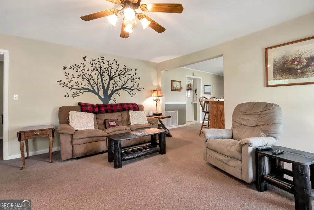 4041 Ada ST Blue Ridge, GA 30513