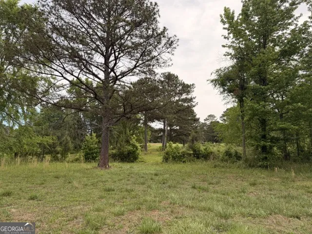 3650 Spring Valley DR Loganville, GA 30052