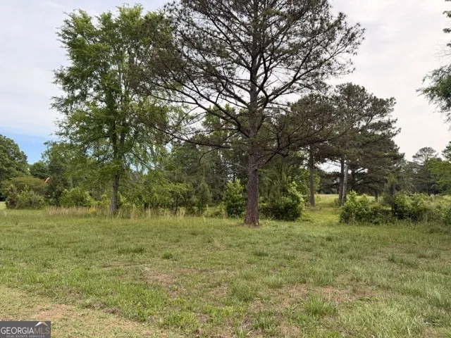 3650 Spring Valley DR Loganville, GA 30052