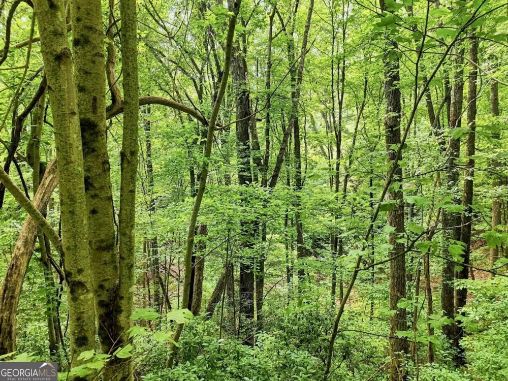 LT 27 Deer Crest RD Blue Ridge, GA 30513