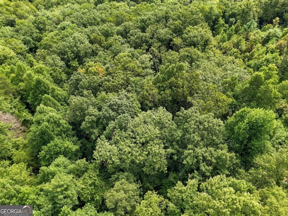 LT 27 Deer Crest RD Blue Ridge, GA 30513