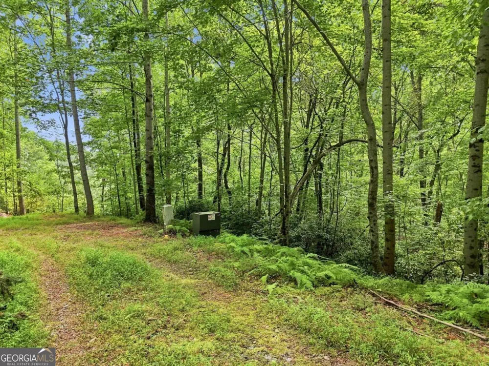 LT 27 Deer Crest RD Blue Ridge, GA 30513