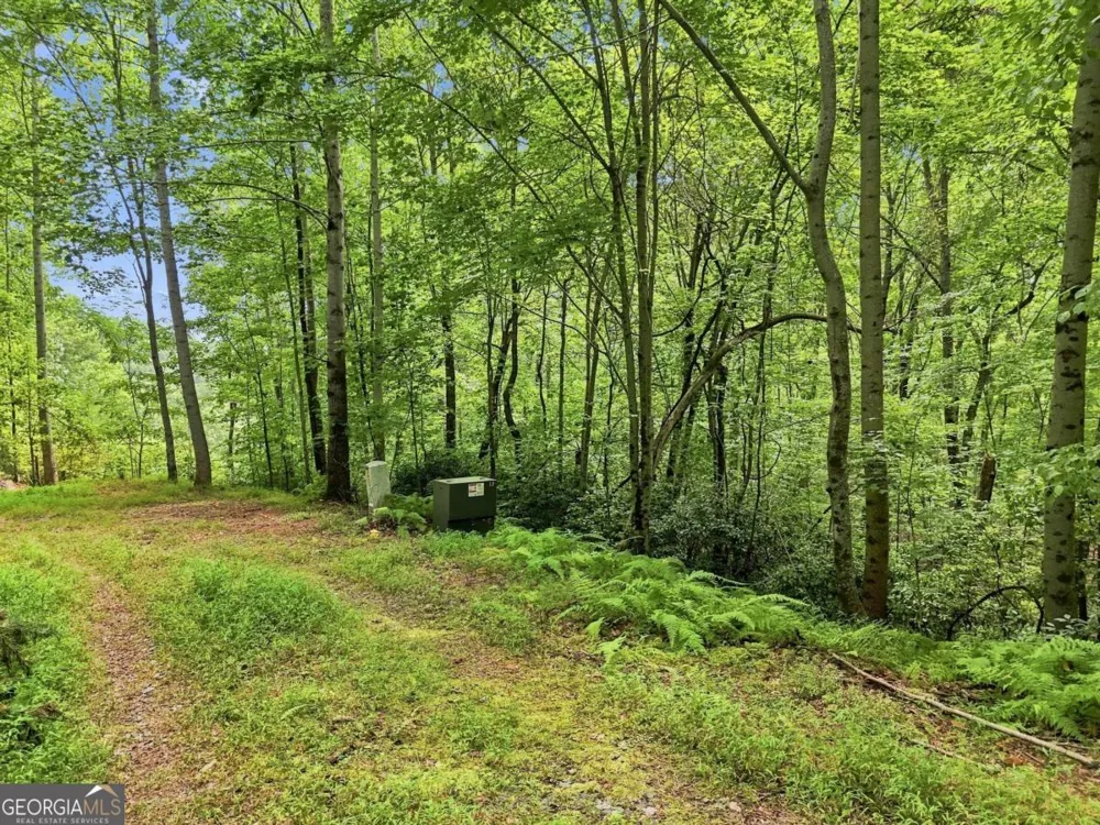LT 27 Deer Crest RD Blue Ridge, GA 30513