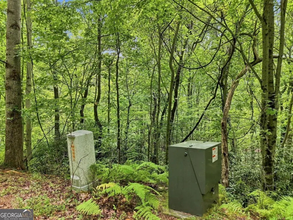 LT 27 Deer Crest RD Blue Ridge, GA 30513