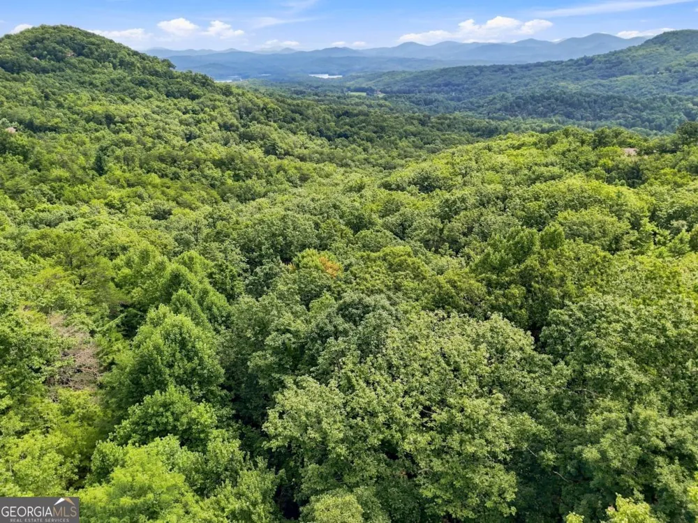 LT 27 Deer Crest RD Blue Ridge, GA 30513