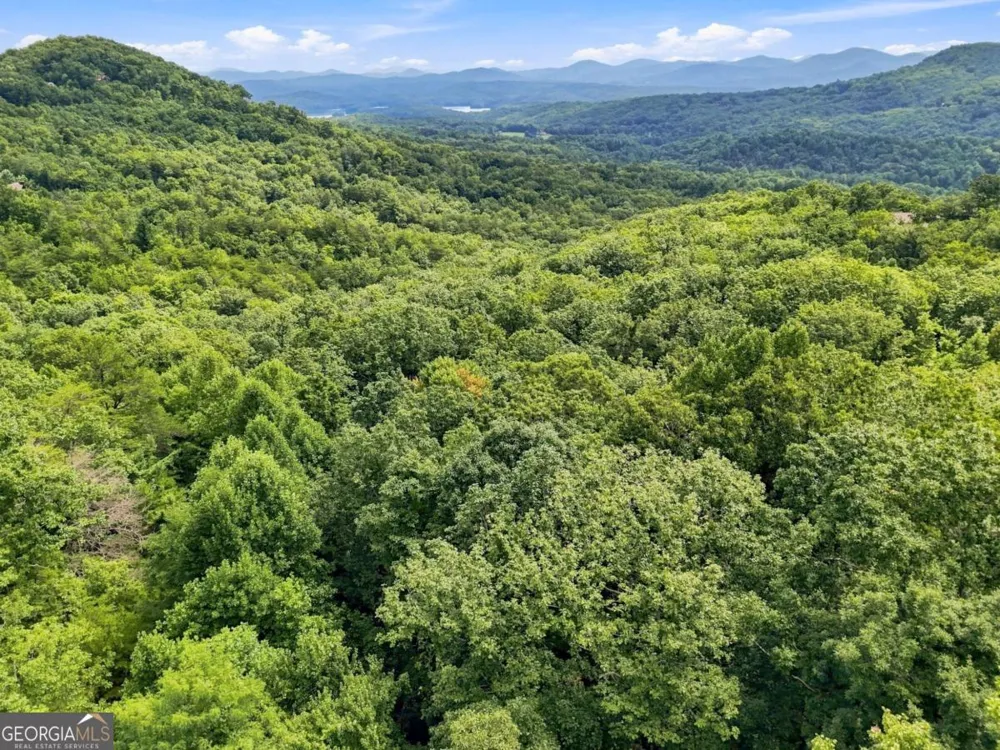 LT 27 Deer Crest RD Blue Ridge, GA 30513