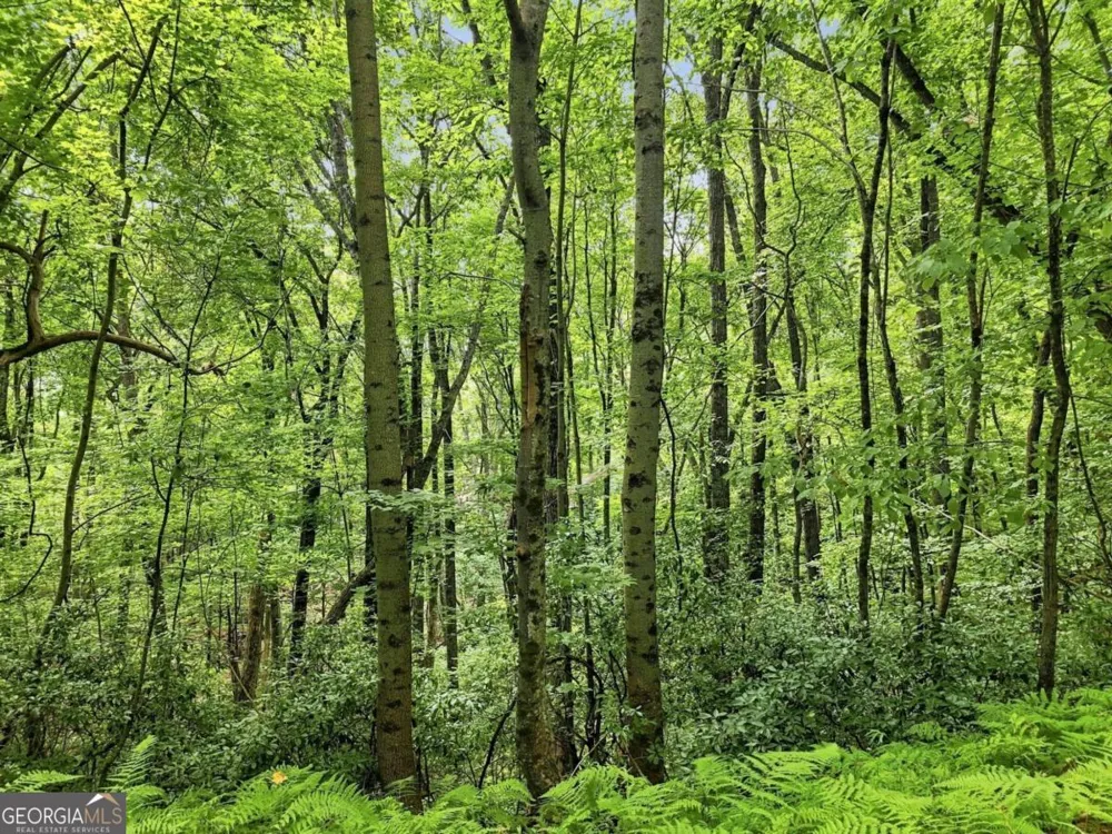 LT 27 Deer Crest RD Blue Ridge, GA 30513