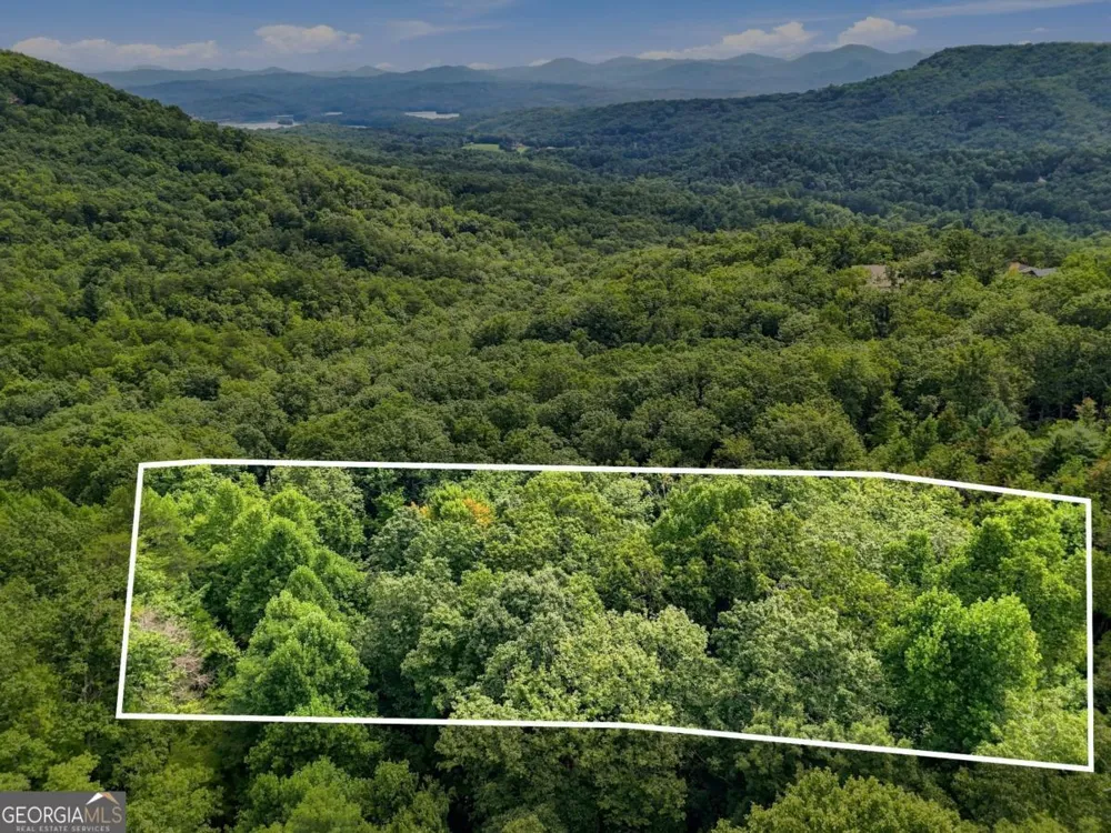 LT 27 Deer Crest RD Blue Ridge, GA 30513
