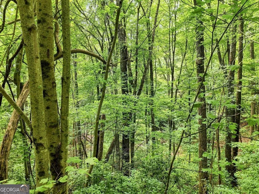 LT 27 Deer Crest RD Blue Ridge, GA 30513