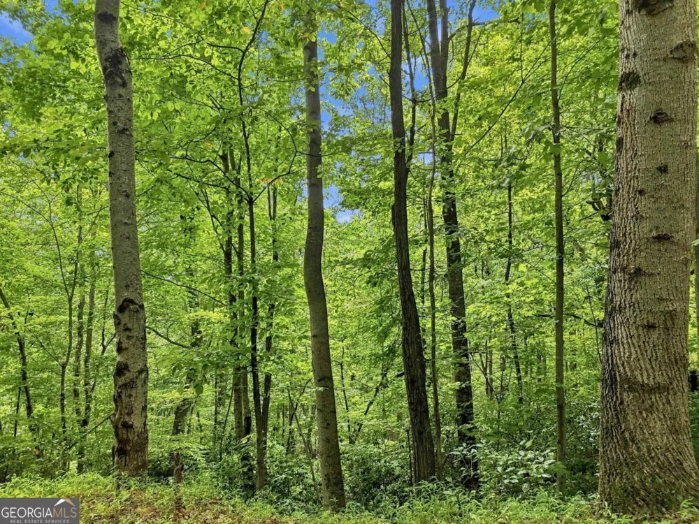 LT 27 Deer Crest RD Blue Ridge, GA 30513