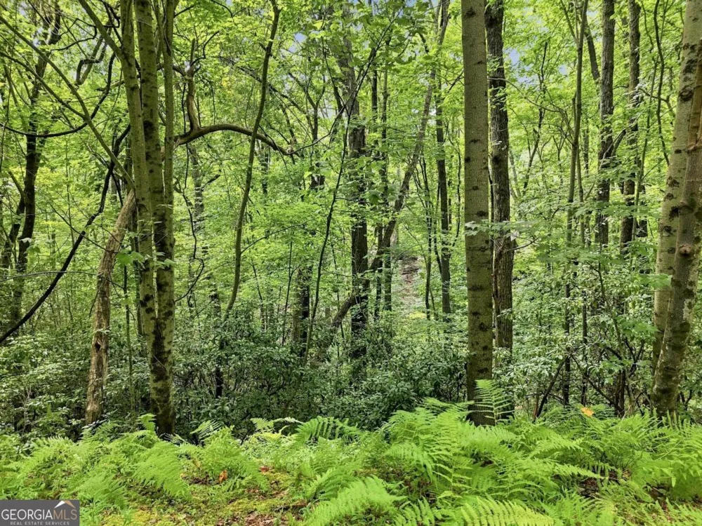 LT 27 Deer Crest RD Blue Ridge, GA 30513