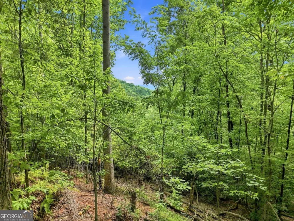 LT 27 Deer Crest RD Blue Ridge, GA 30513