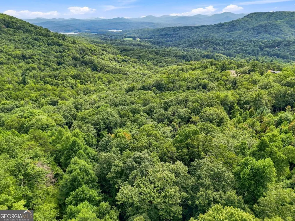 LT 27 Deer Crest RD Blue Ridge, GA 30513
