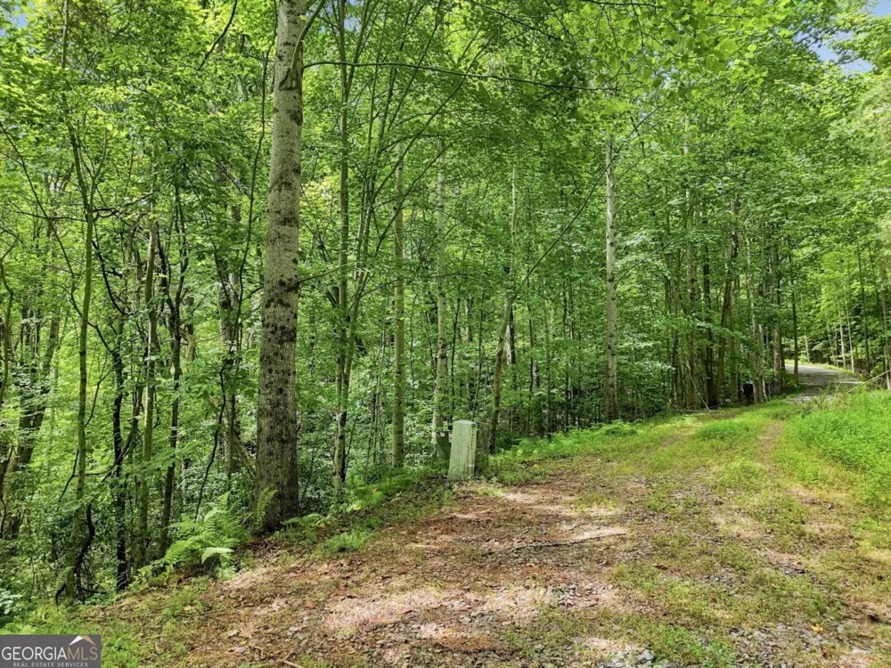 LT 27 Deer Crest RD Blue Ridge, GA 30513