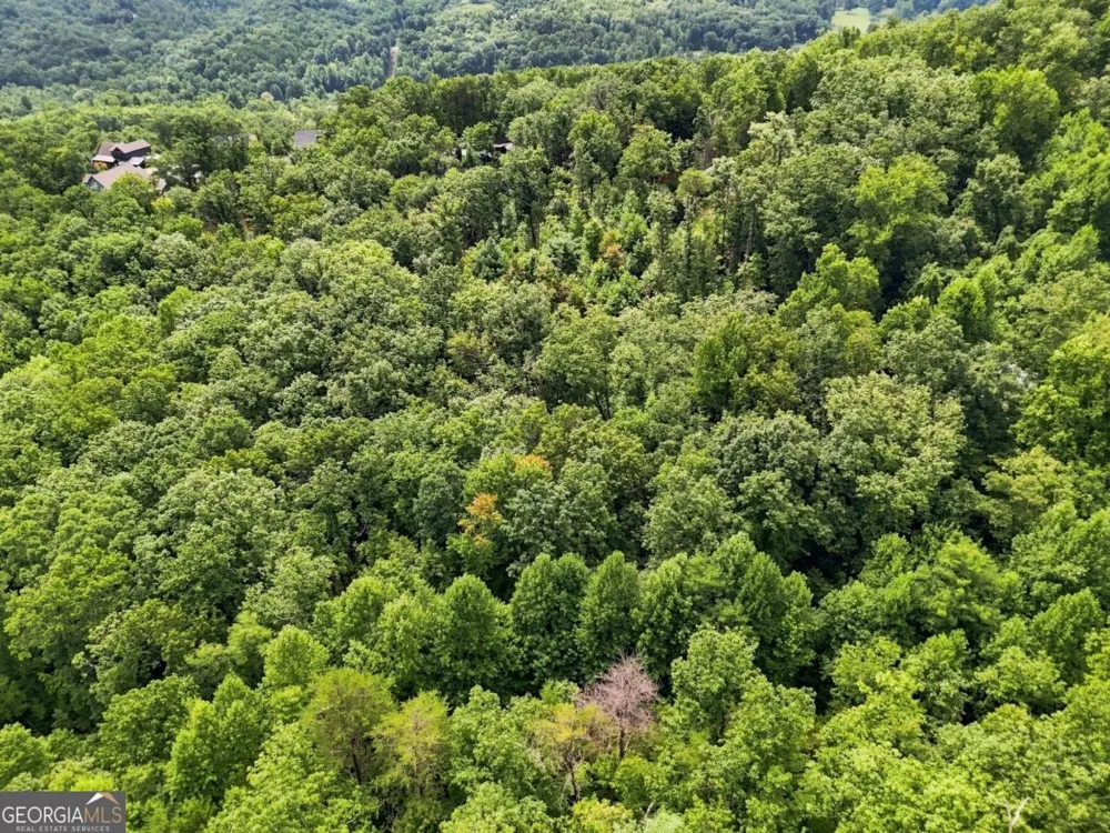 LT 27 Deer Crest RD Blue Ridge, GA 30513