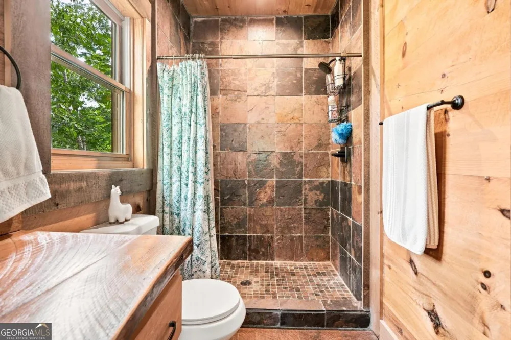 476 Deer Crest RD Blue Ridge, GA 30513