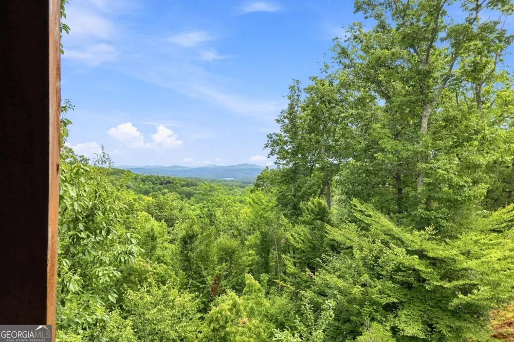 476 Deer Crest RD Blue Ridge, GA 30513