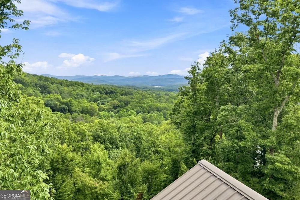 476 Deer Crest RD Blue Ridge, GA 30513