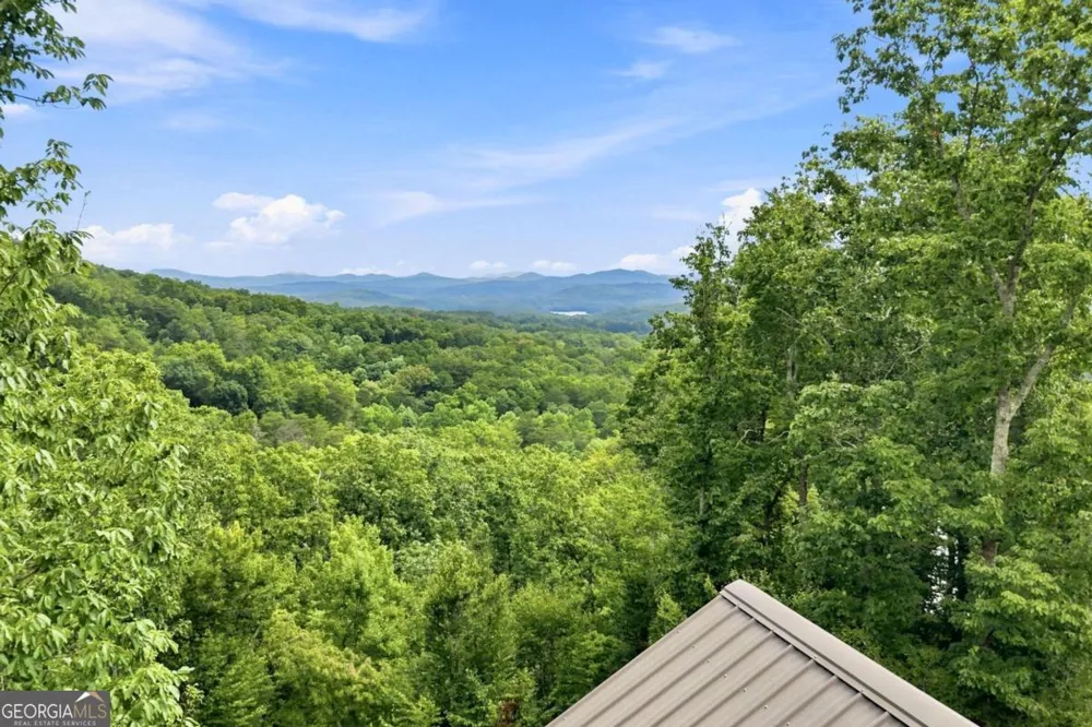 476 Deer Crest RD Blue Ridge, GA 30513