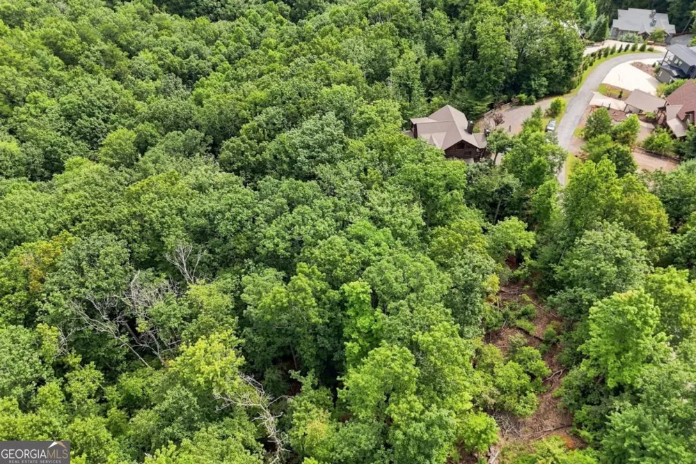 476 Deer Crest RD Blue Ridge, GA 30513
