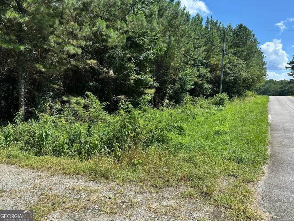 305 Wildcat RD Buchanan, GA 30113