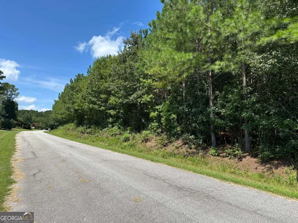 305 Wildcat RD Buchanan, GA 30113