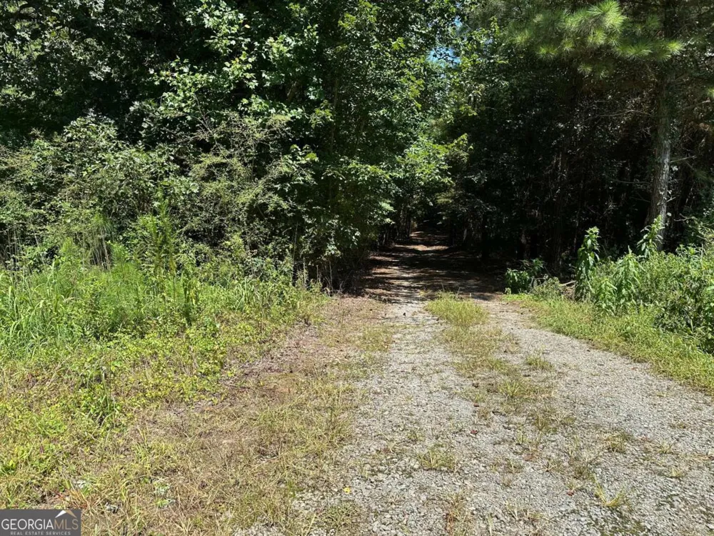305 Wildcat RD Buchanan, GA 30113
