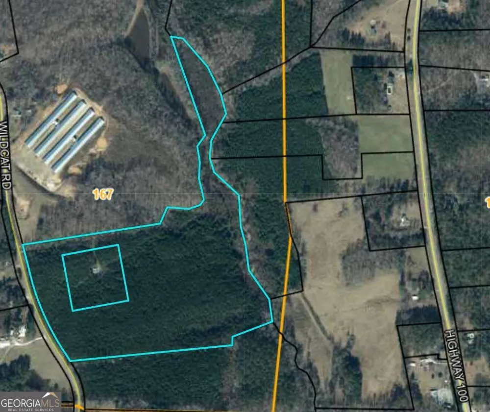 305 Wildcat RD Buchanan, GA 30113