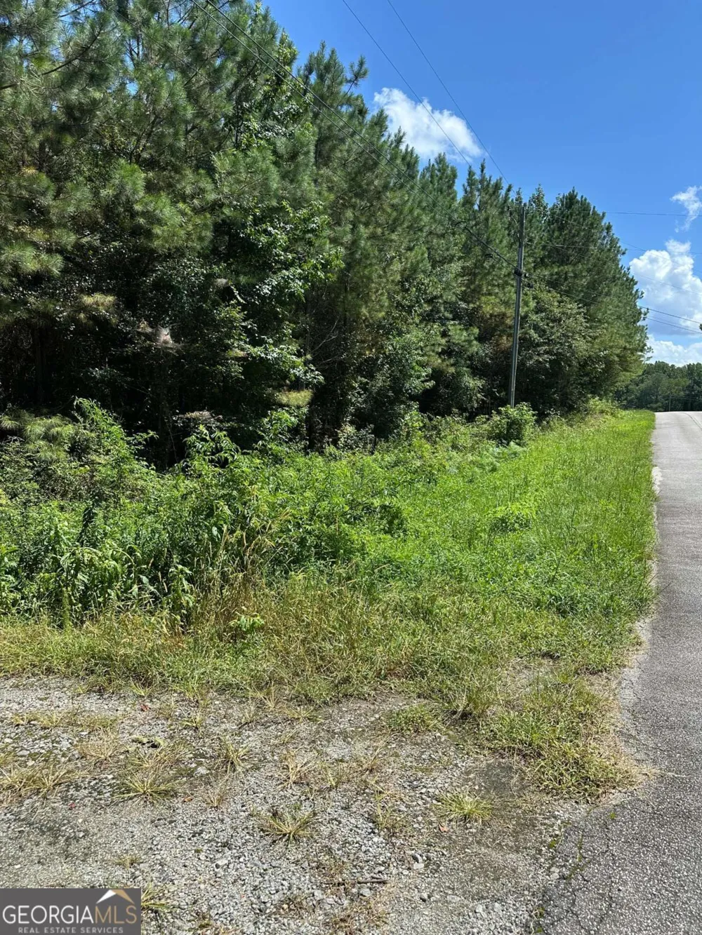 305 Wildcat RD Buchanan, GA 30113